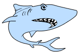 Dayton Area Sharks Dayton Area Sharks